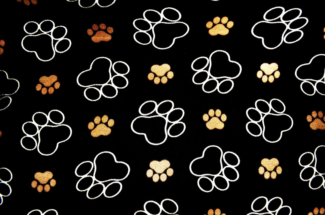 Things For Pets...